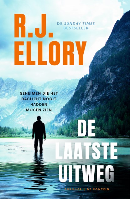 De laatste uitweg, R.J. Ellory - Paperback - 9789026168123