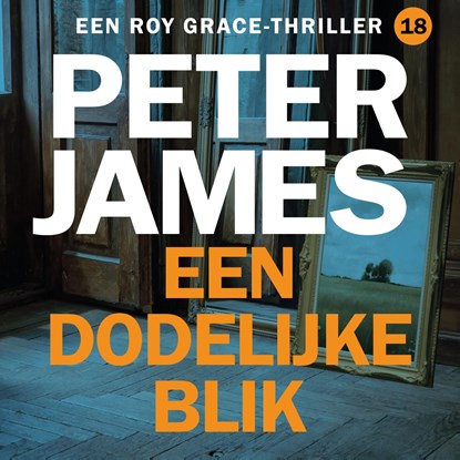 Een dodelijke blik, Peter James - Luisterboek MP3 - 9789026176203