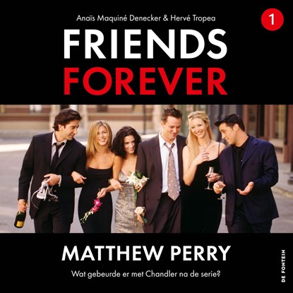 Matthew Perry, Anaïs Maquiné Denecker ; Hervé Tropea - Luisterboek MP3 - 9789026186684