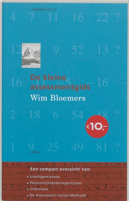 De kleine assessmentgids, Wim Bloemers - Paperback - 9789026318818