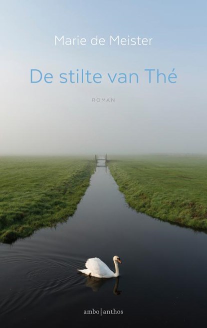 De stilte van Thé, Marie de Meister - Paperback - 9789026333514