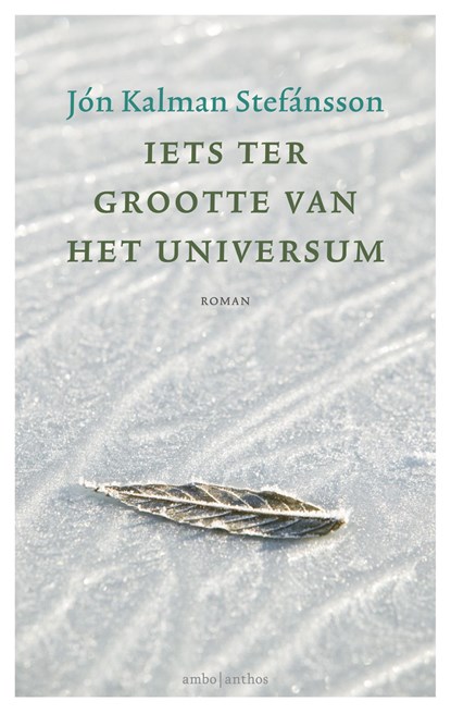 Iets ter grootte van het universum, Jón Kalman Stefánsson - Gebonden - 9789026334573