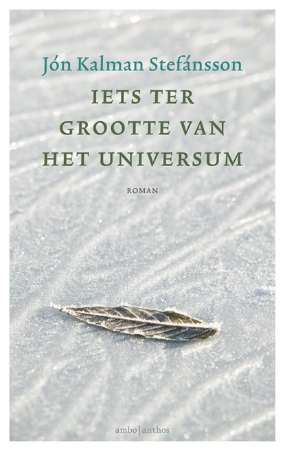 Iets ter grootte van het universum, Jón Kalman Stefánsson - Ebook - 9789026334580