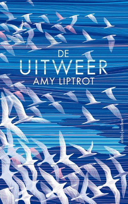 De uitweer, Amy Liptrot - Gebonden - 9789026336638