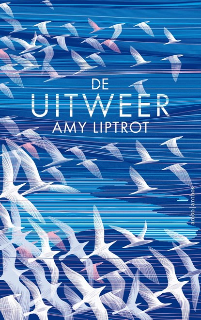 De uitweer, Amy Liptrot - Ebook - 9789026336645
