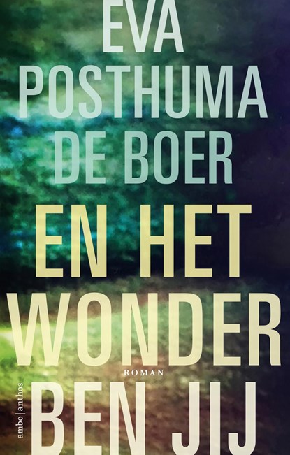 En het wonder ben jij, Eva Posthuma de Boer - Ebook - 9789026337437