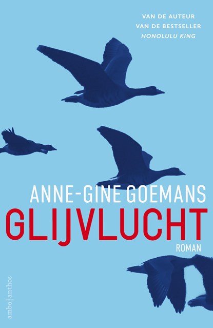 Glijvlucht, Anne-Gine Goemans - Ebook - 9789026339868
