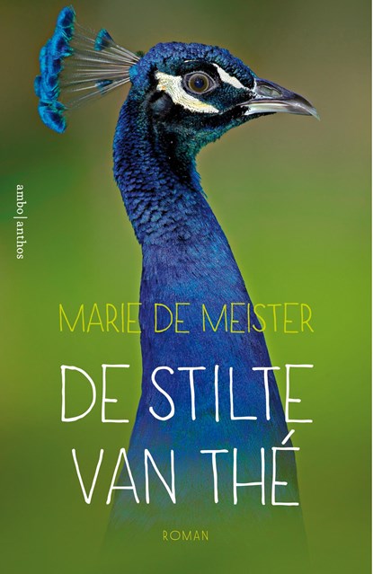 De stilte van Thé, Marie de Meister - Paperback - 9789026339875