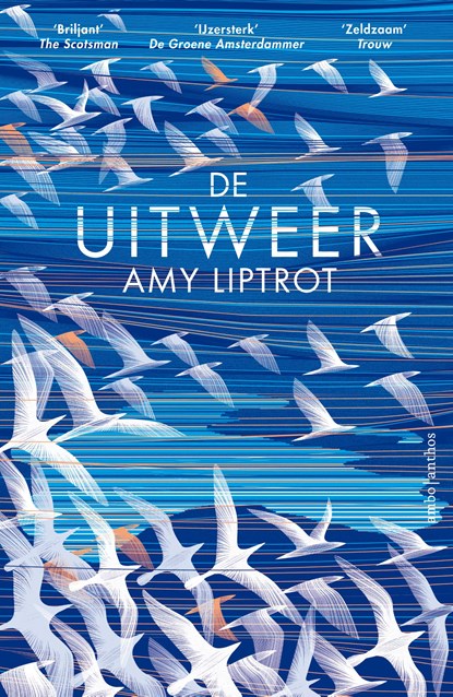 De uitweer, Amy Liptrot - Paperback - 9789026341953