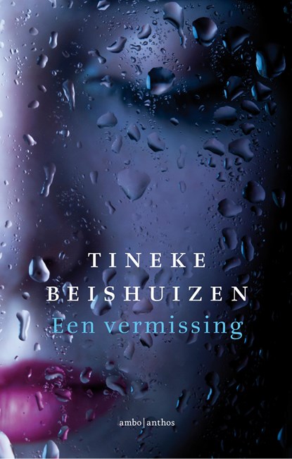 Een vermissing, Tineke Beishuizen - Ebook - 9789026344404