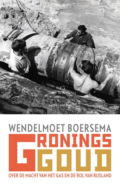 Gronings goud, Wendelmoet Boersema - Ebook - 9789026344664