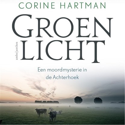 Groen licht, Corine Hartman - Luisterboek MP3 - 9789026345395