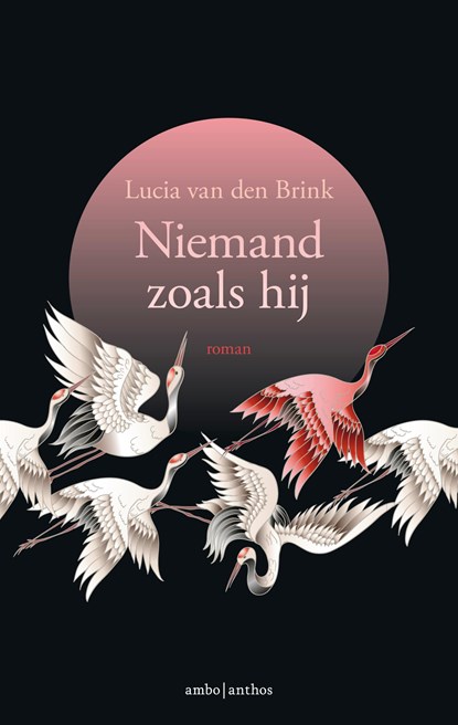 Niemand zoals hij, Lucia van den Brink - Paperback - 9789026347573