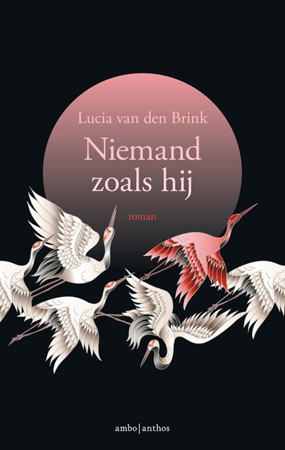 Niemand zoals hij, Lucia van den Brink - Ebook - 9789026347580