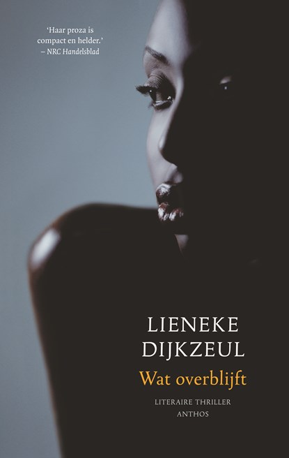 Wat overblijft, Lieneke Dijkzeul - Luisterboek MP3 - 9789026348136