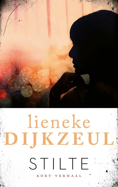 Stilte, Lieneke Dijkzeul - Ebook - 9789026348297
