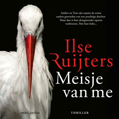 Meisje van me, Ilse Ruijters - Luisterboek MP3 - 9789026349966