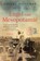 Engel van Mesopotamië, Brenda Meuleman - Paperback - 9789026350078
