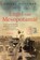 Engel van Mesopotamië, Brenda Meuleman - Paperback - 9789026350078