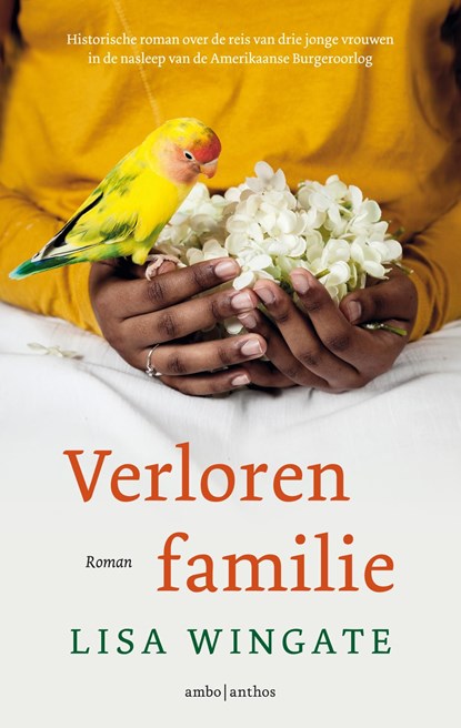 Verloren familie, Lisa Wingate - Ebook - 9789026352034