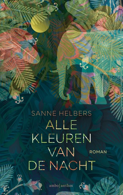 Alle kleuren van de nacht, Sanne Helbers - Ebook - 9789026355837