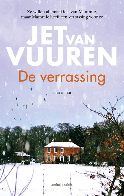 De verrassing, Jet van Vuuren - Ebook - 9789026357275