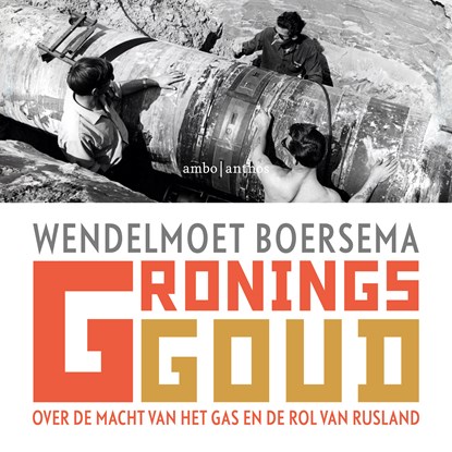 Gronings goud, Wendelmoet Boersema - Luisterboek MP3 - 9789026357541