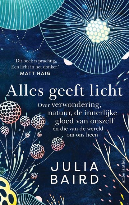 Alles geeft licht, Julia Baird - Paperback - 9789026358531