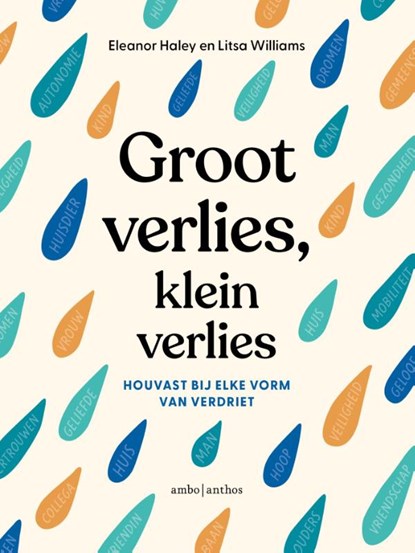 Groot verlies, klein verlies, Eleanor Haley ; Litsa Williams - Paperback - 9789026361579