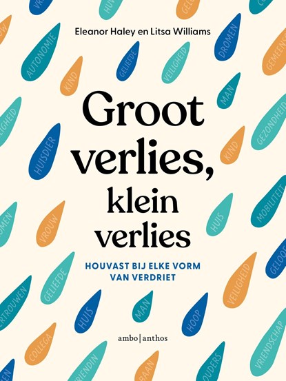 Groot verlies, klein verlies, Eleanor Haley ; Litsa Williams - Ebook - 9789026361586