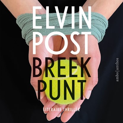 Breekpunt, Elvin Post - Luisterboek MP3 - 9789026361869