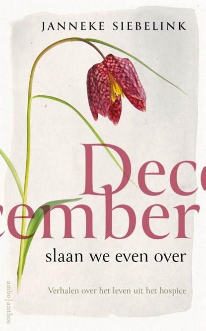 December slaan we even over, Janneke Siebelink - Paperback - 9789026362811