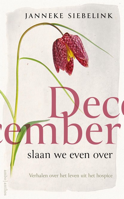 December slaan we even over, Janneke Siebelink - Ebook - 9789026362828