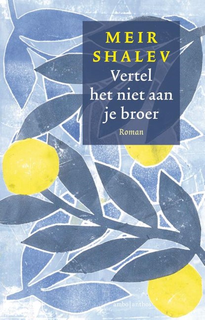 Vertel het niet aan je broer, Meir Shalev - Gebonden - 9789026364808