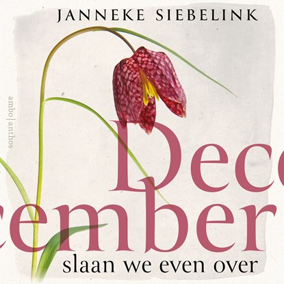 December slaan we even over, Janneke Siebelink - Luisterboek MP3 - 9789026364822