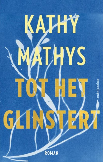 Tot het glinstert, Kathy Mathys - Paperback - 9789026366017