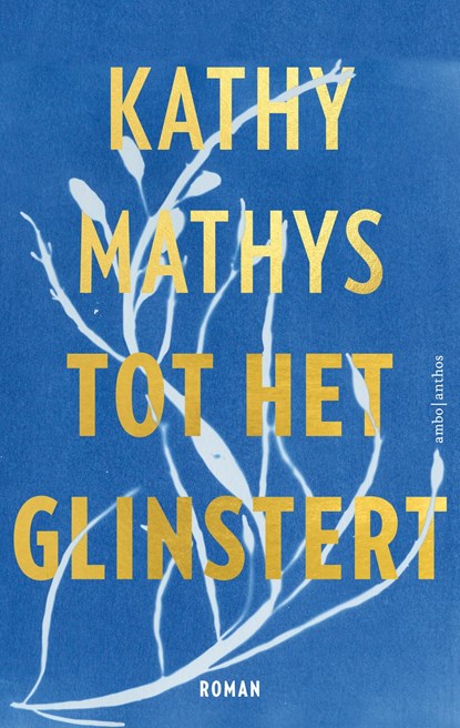 Tot het glinstert, Kathy Mathys - Ebook - 9789026366024
