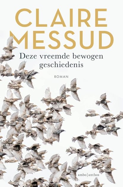 Deze vreemde bewogen geschiedenis, Claire Messud - Paperback - 9789026366185