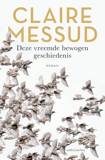 Deze vreemde bewogen geschiedenis, Claire Messud - Ebook - 9789026366192