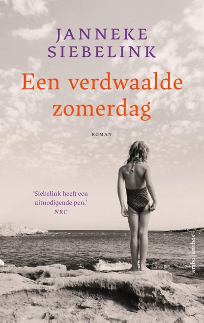 Een verdwaalde zomerdag, Janneke Siebelink - Ebook - 9789026366291