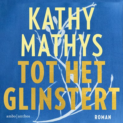 Tot het glinstert, Kathy Mathys - Luisterboek MP3 - 9789026368424