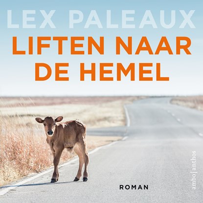 Liften naar de hemel, Lex Paleaux - Luisterboek MP3 - 9789026369261