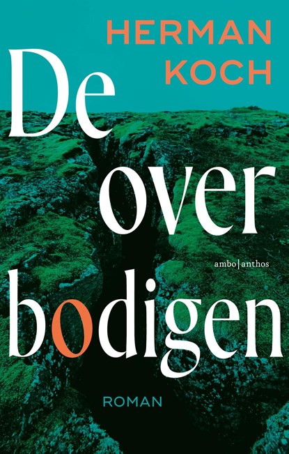De overbodigen, Herman Koch - Ebook - 9789026370656