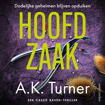 Hoofdzaak, A.K. Turner - Luisterboek MP3 - 9789026371813