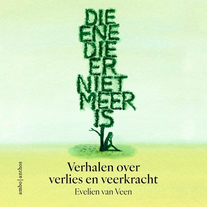 Die ene die er niet meer is, Evelien van Veen - Luisterboek MP3 - 9789026371905