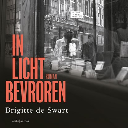 In licht bevroren, Brigitte de Swart - Luisterboek MP3 - 9789026372650