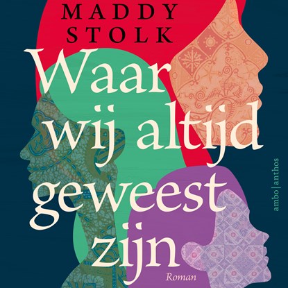 Waar wij altijd geweest zijn, Maddy Stolk - Luisterboek MP3 - 9789026372667