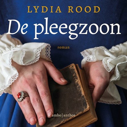 De pleegzoon, Lydia Rood - Luisterboek MP3 - 9789026372711
