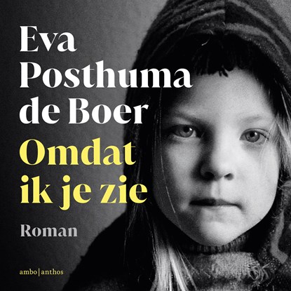 Omdat ik je zie, Eva Posthuma de Boer - Luisterboek MP3 - 9789026373497