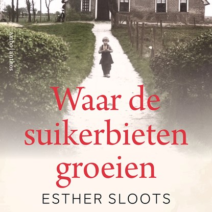 Waar de suikerbieten groeien, Esther Sloots - Luisterboek MP3 - 9789026373596